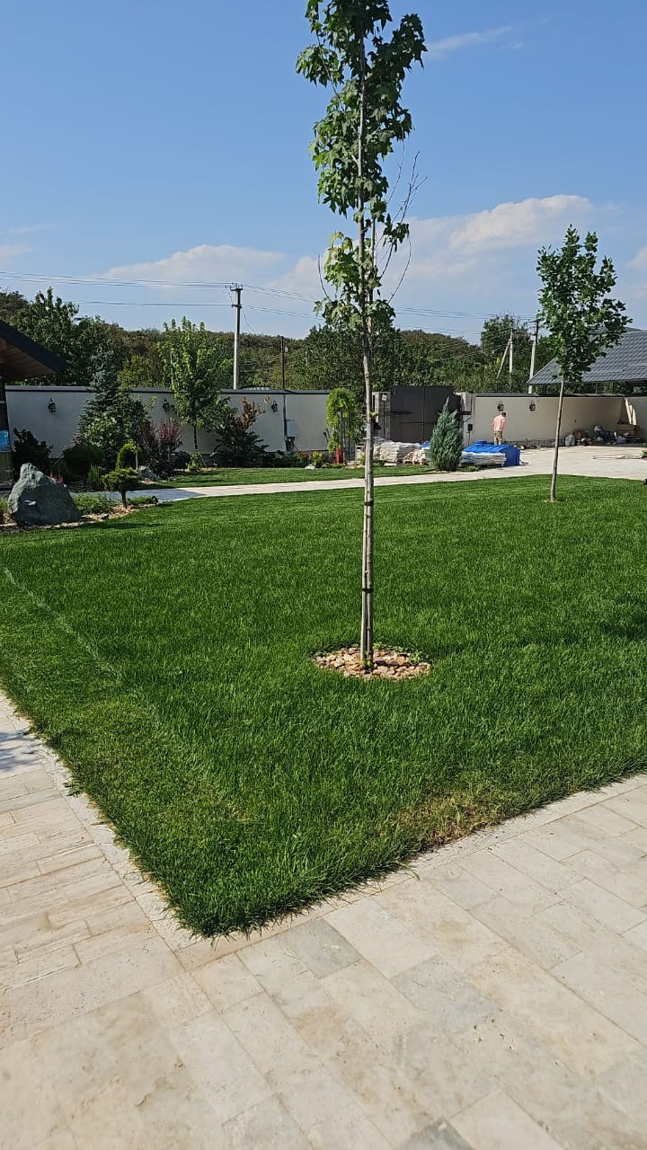 Владимир Юрьевич. Дизайн интерьера, мебели и ландшафта на КМВ | OXY Design