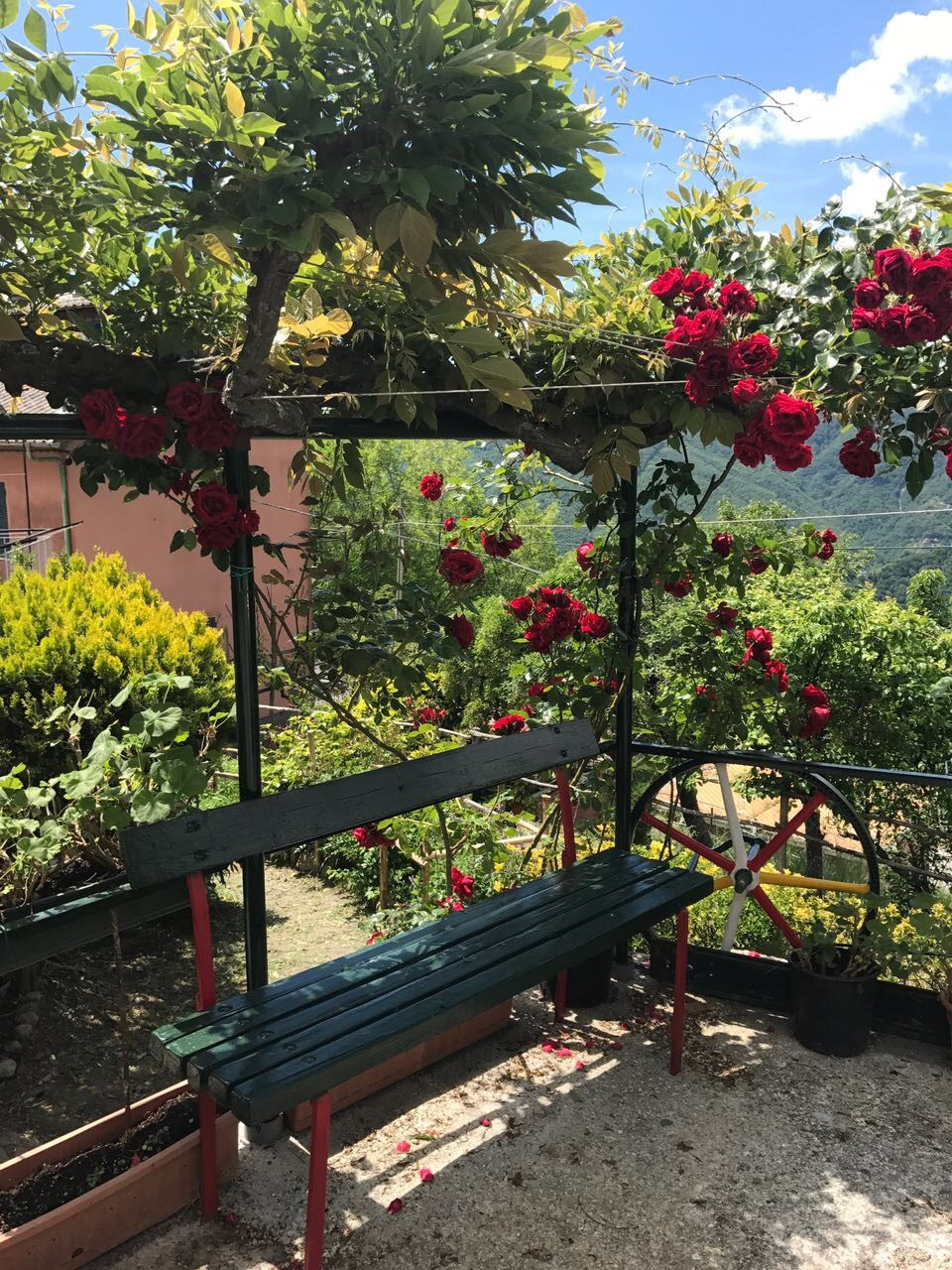 Италия. Главная