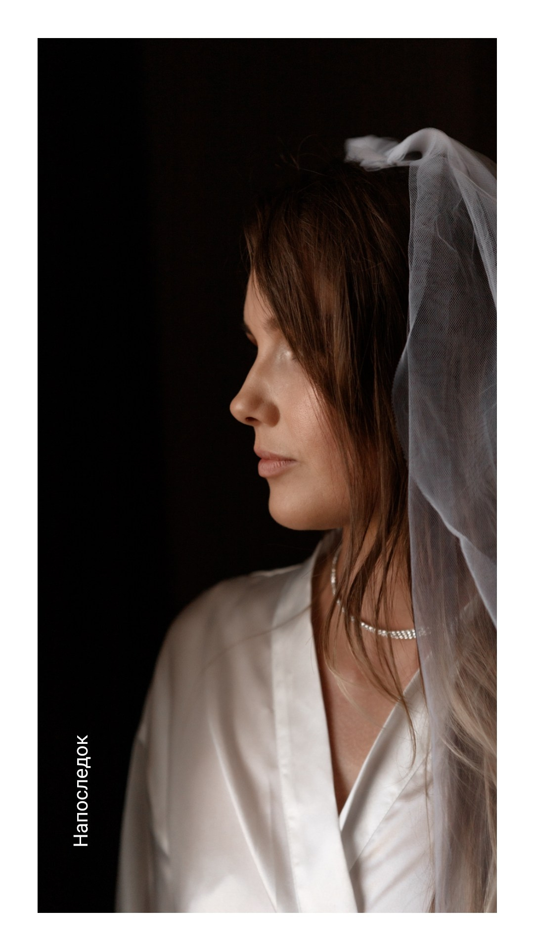 Напоследок. Фотограф Владимир Молоканов