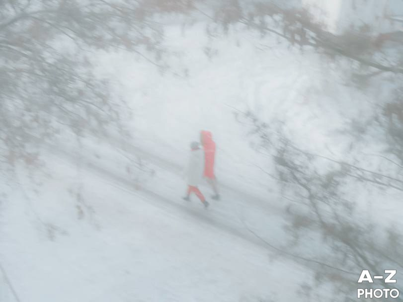 #ФОТОНЕДЕЛИ 02.02.2026. Женский семейный фотограф Тула Москва Захарова Анна