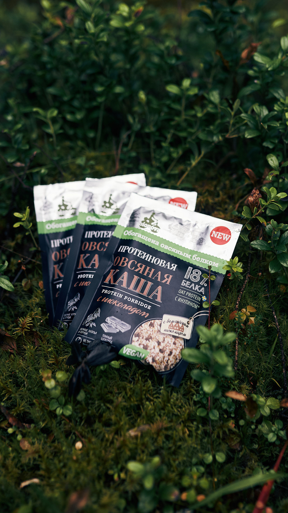 Путешествие на Север в 2019 году. Внедорожные путешествия — OFFROADTRIP