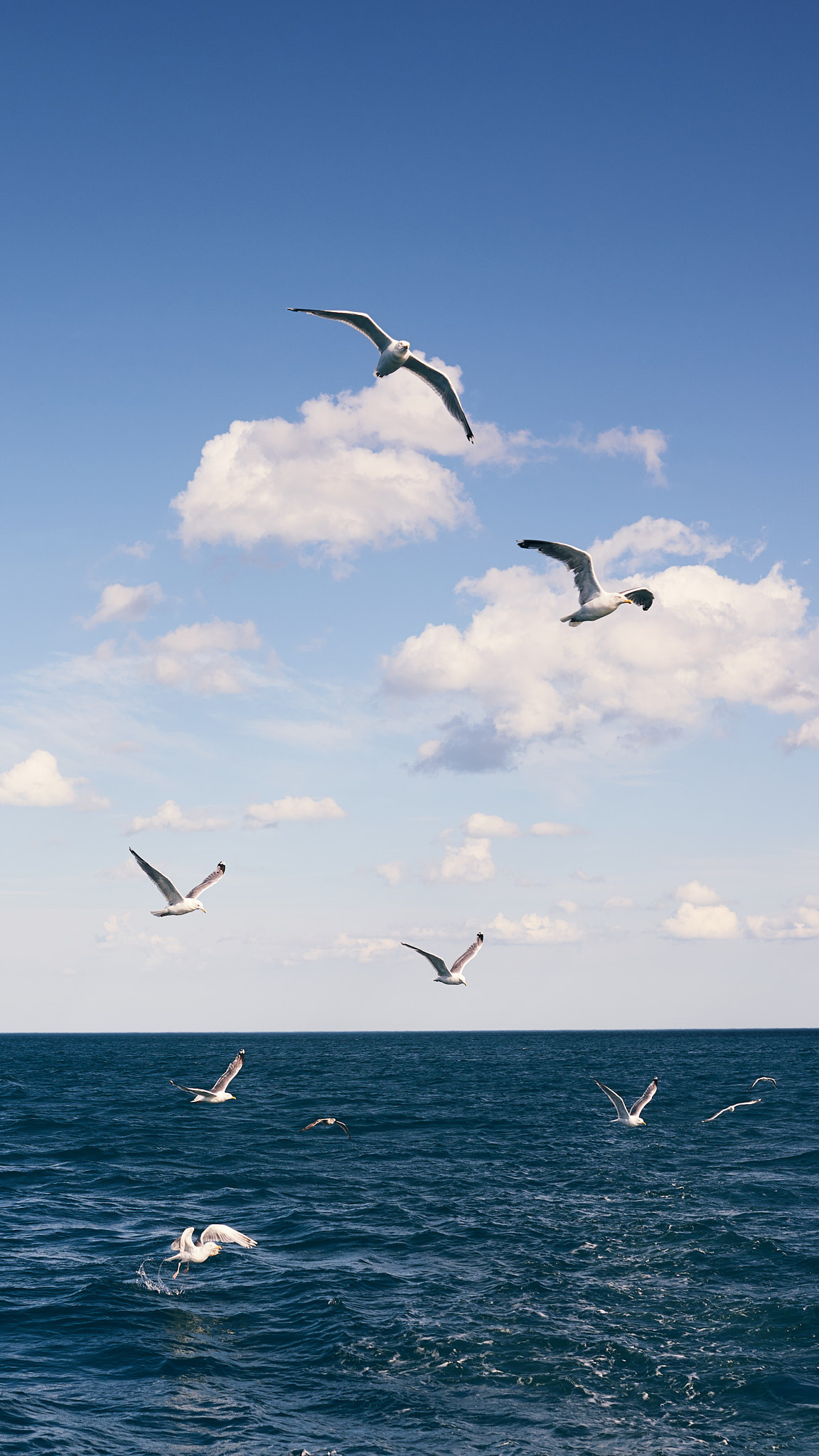 Путешествие на Север в 2019 году. Внедорожные путешествия — OFFROADTRIP