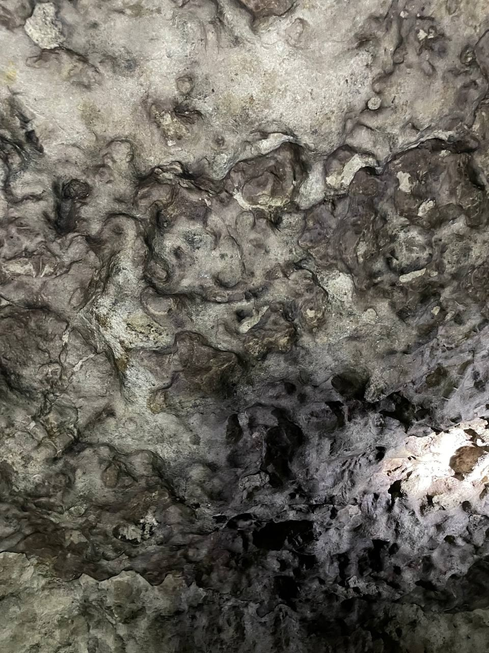 Поход в Гурьевские каменоломни | 21.06.2025. Галерея Фантим