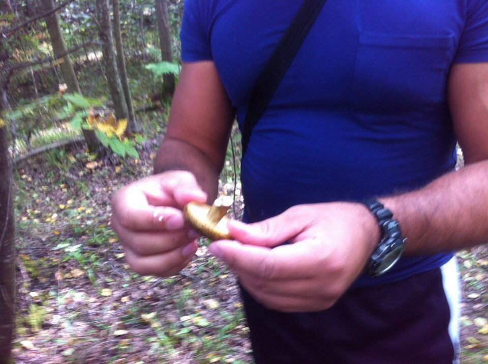 Деревенский выезд 2 | 26-28.08.2016. Галерея Фантим