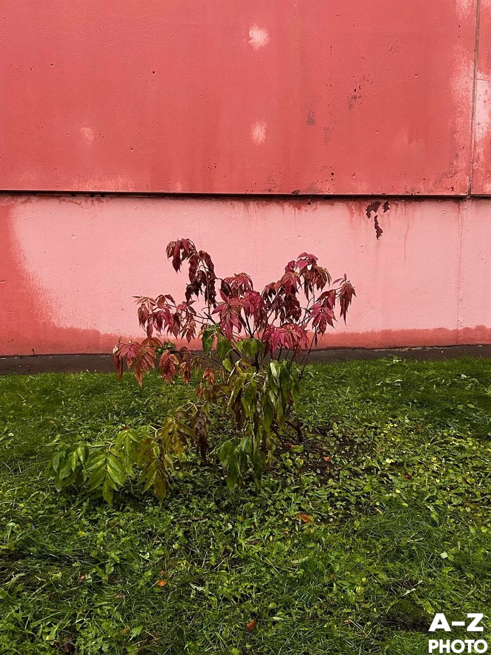 #ФОТОНЕДЕЛИ 01.12.2025. Женский семейный фотограф Тула Москва Захарова Анна