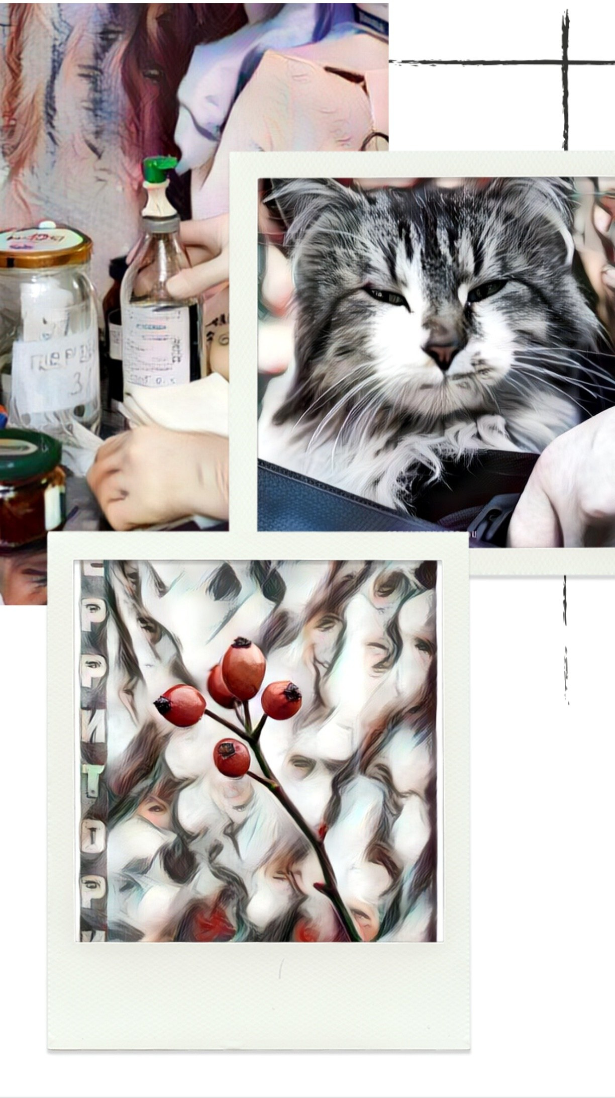 Фотопринты А3. Фотопроект «Территории»