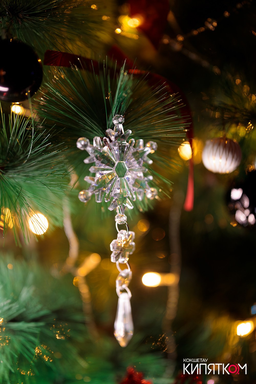 GENTLEMAN PUB. КИПЯТКОМ КОКШЕТАУ