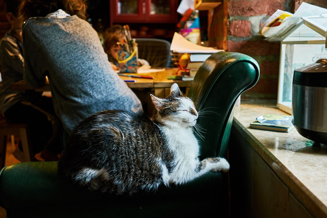 House full of wonders. Vutitsa