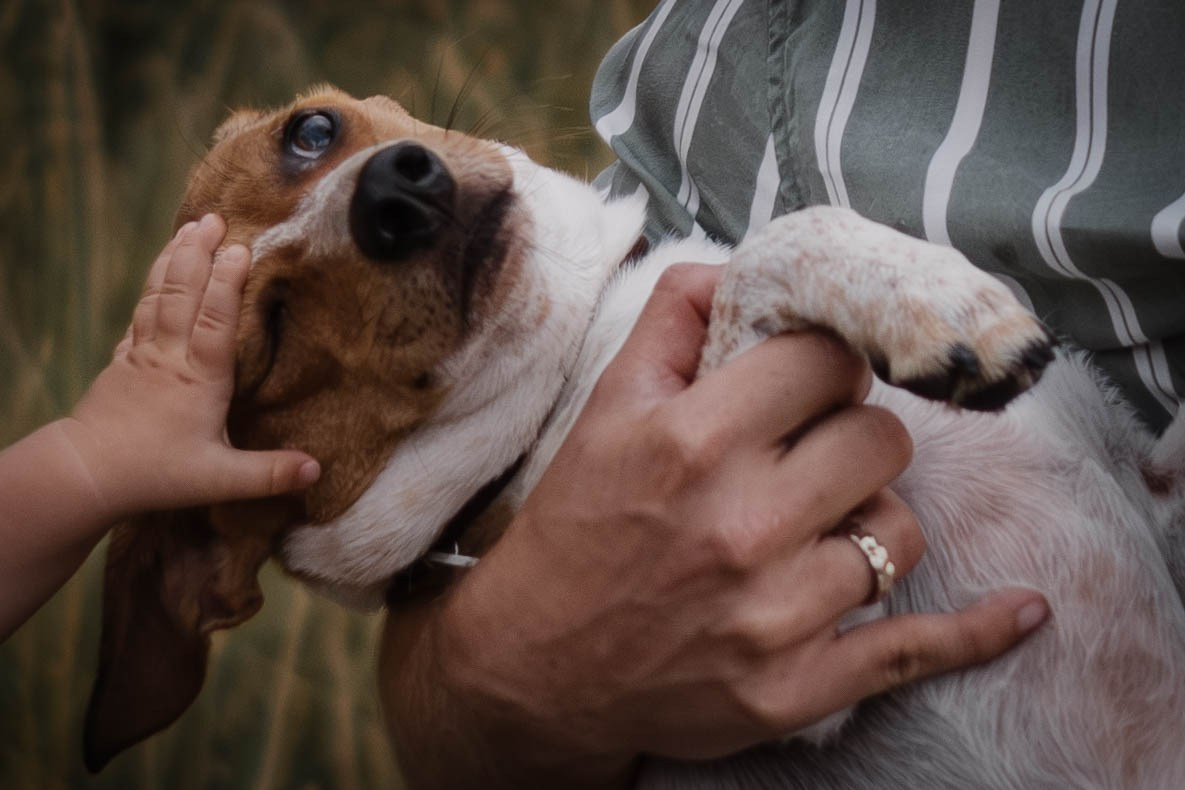 Семейная съемка в горах. Семейный фотограф в Санкт-Петербурге Дарья Косянчук