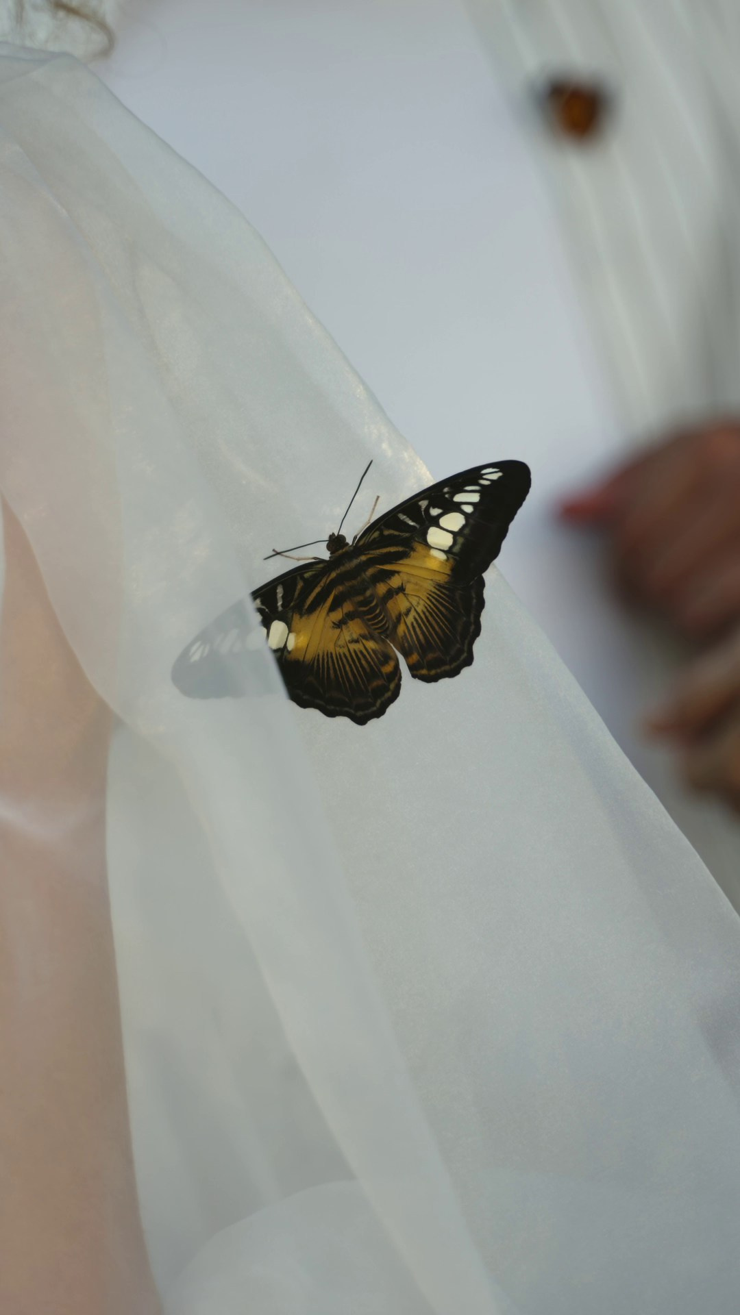 Wedding workshop для фотографов и видеографов