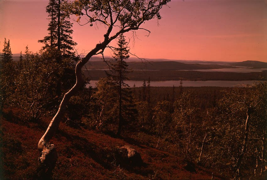 Русский север. ВАДИМ ГИППЕНРЕЙТЕР — ВЕЛИКИЙ ФОТОГРАФ ЗЕМЛИ РУССКОЙ