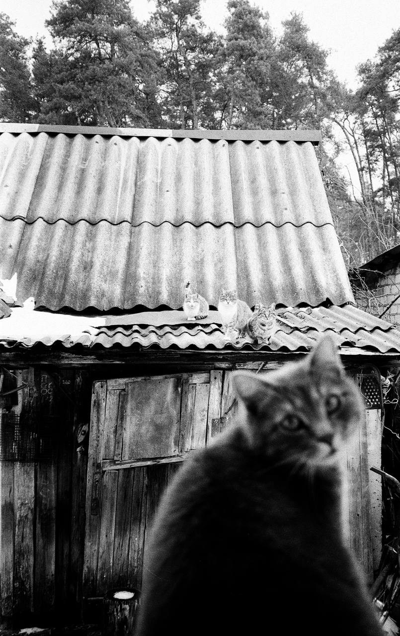 Всякие картинки