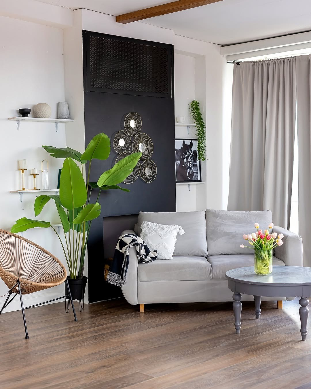 Фотостудия avocado зал family