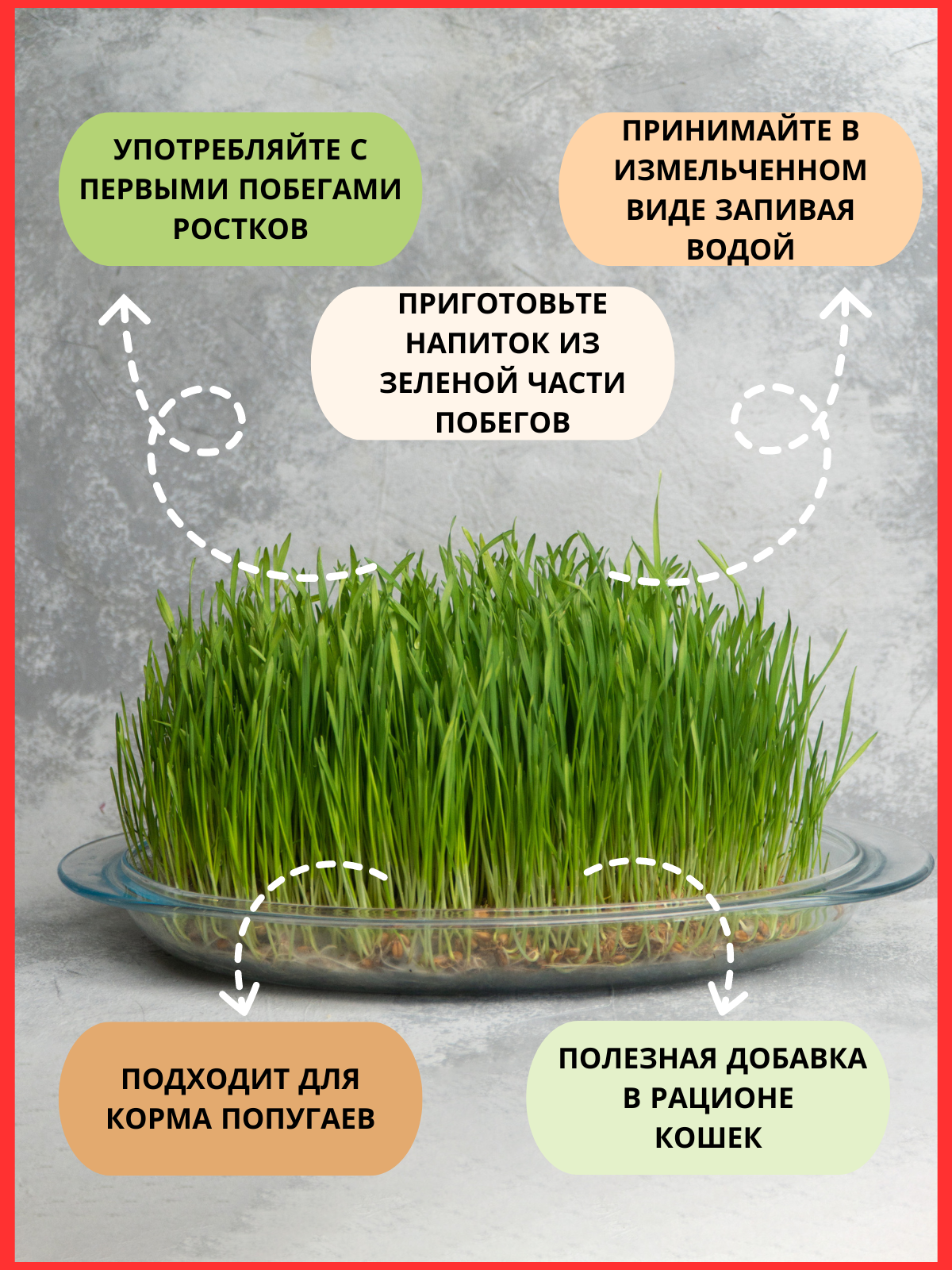 Инфографика. Фото для Маркетплейсов