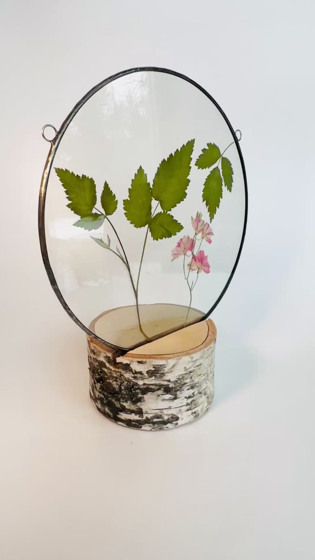 Гербарий в стекле с сухоцветами (витраж в технике тиффани). Гербарий в стекле, интерьерные панно, витражи с сухоцветами в технике тиффани