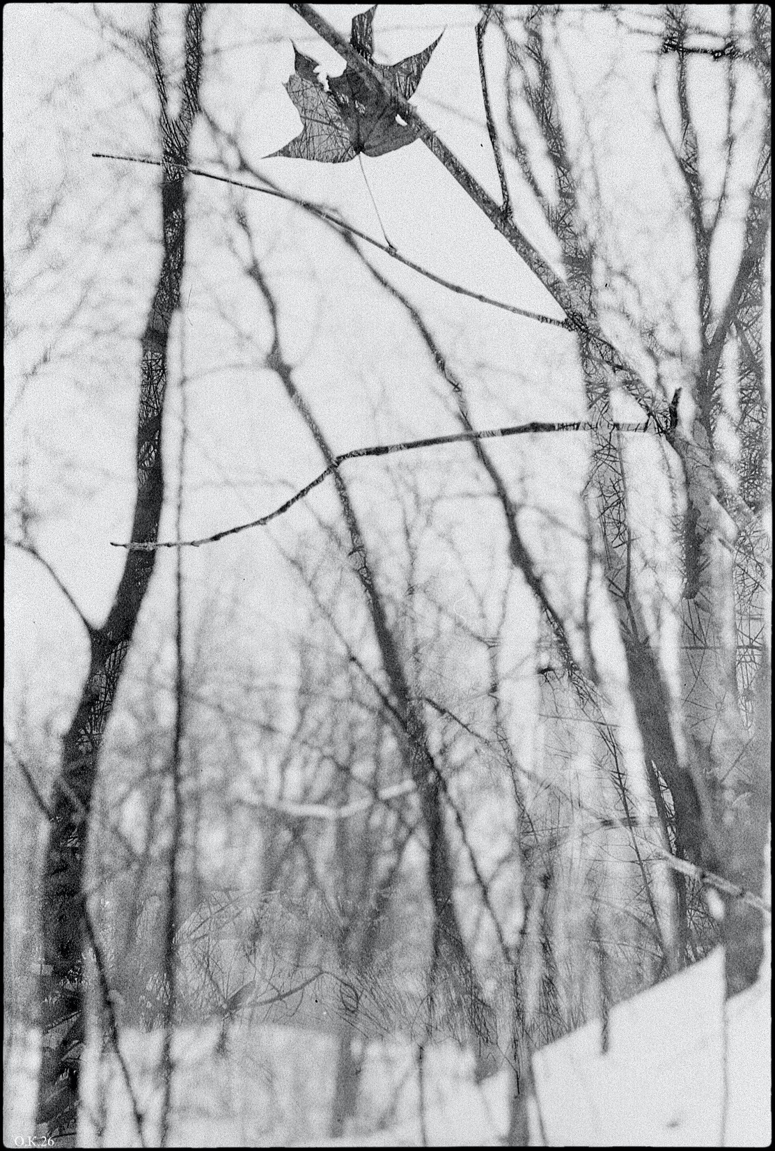 Пленочная фотография Олег Кузнецов. Artkapella|Олег Кузнецов