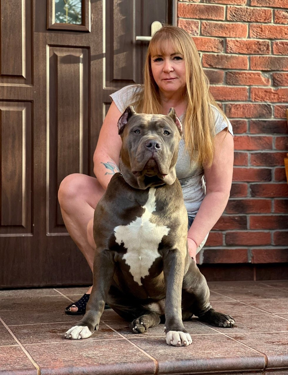 UPB’s Queenie & Zeus. 16.04.24. Американские булли XL в г. Калининград. Питомник Great Bully UNIVERSE