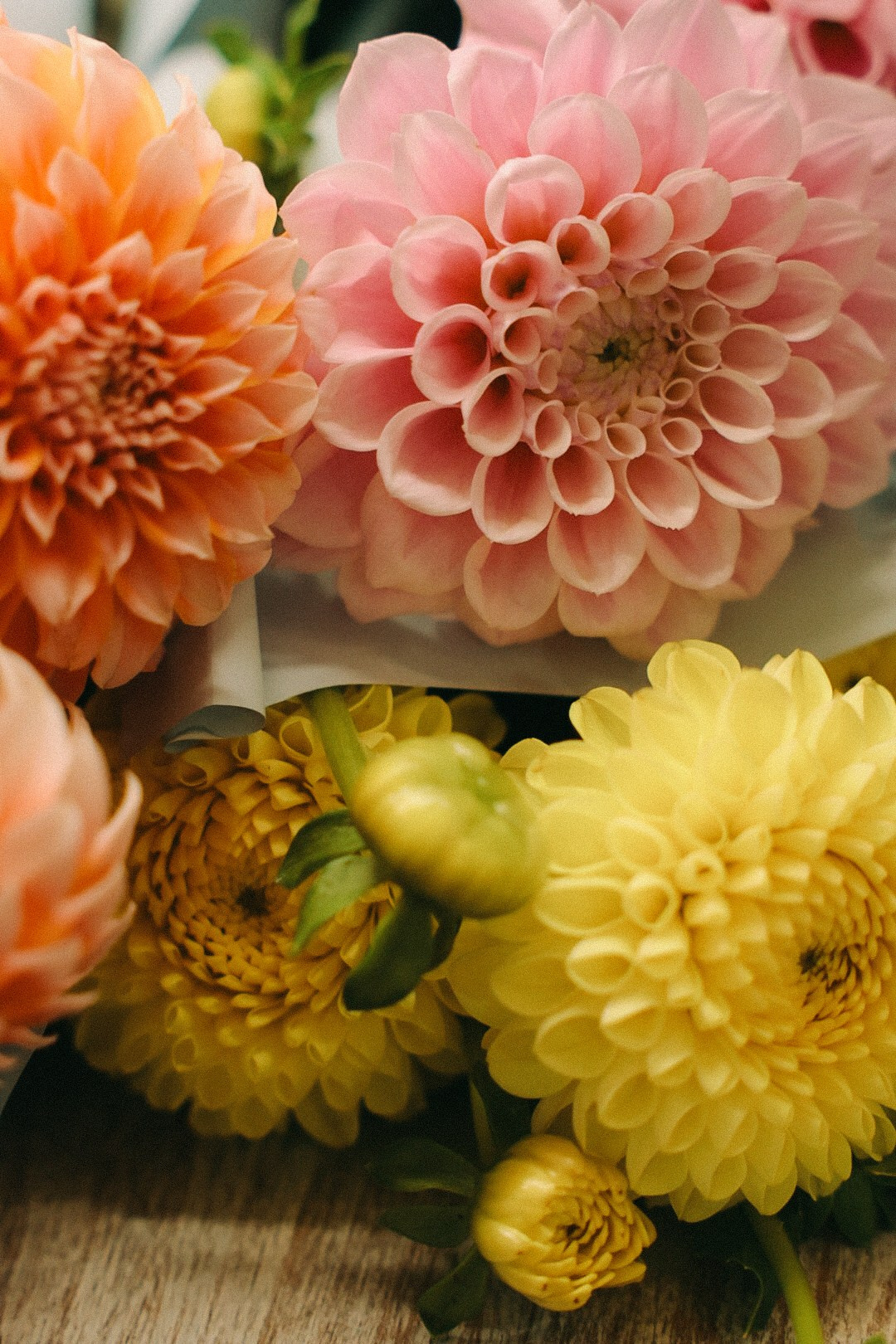 Миссис футбольная мама. Фотограф Нижний Новгород