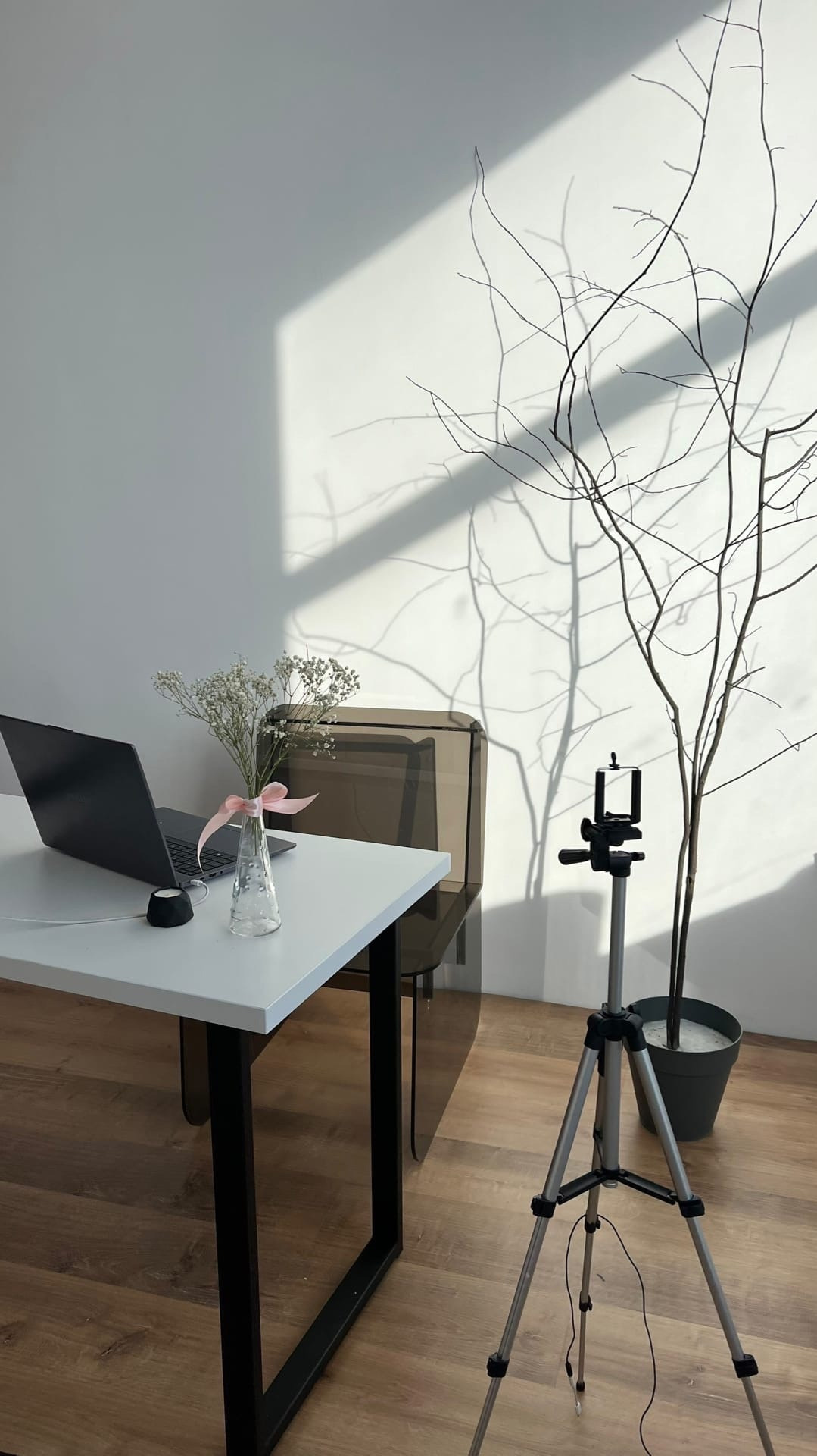 Студия Turums Зал Контент для предметной съемки  Новосибирск|Sale Easy