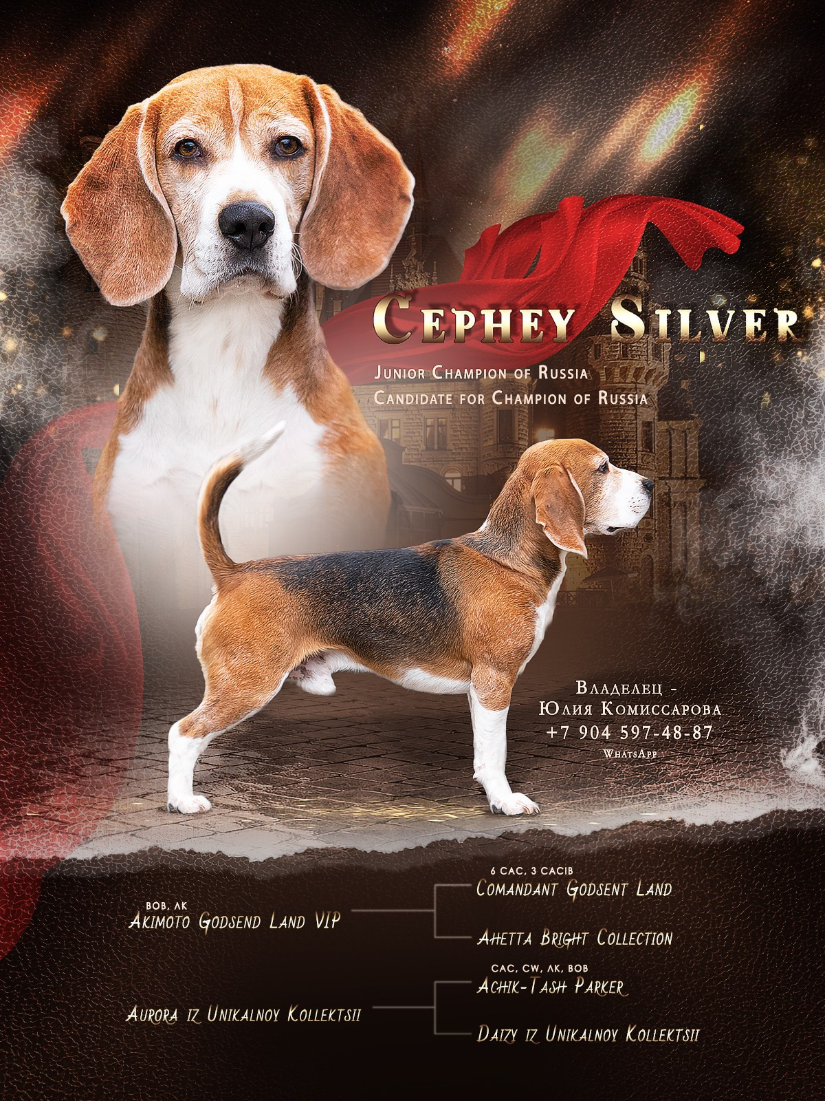 Презентации. Фотограф — анималист в Туле Юлия Лето