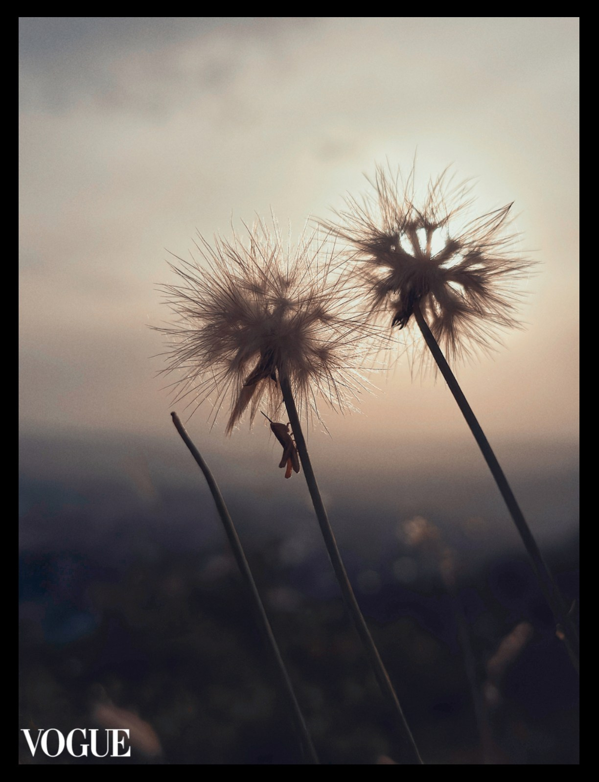 Флора и фауна. Смотри, красота!