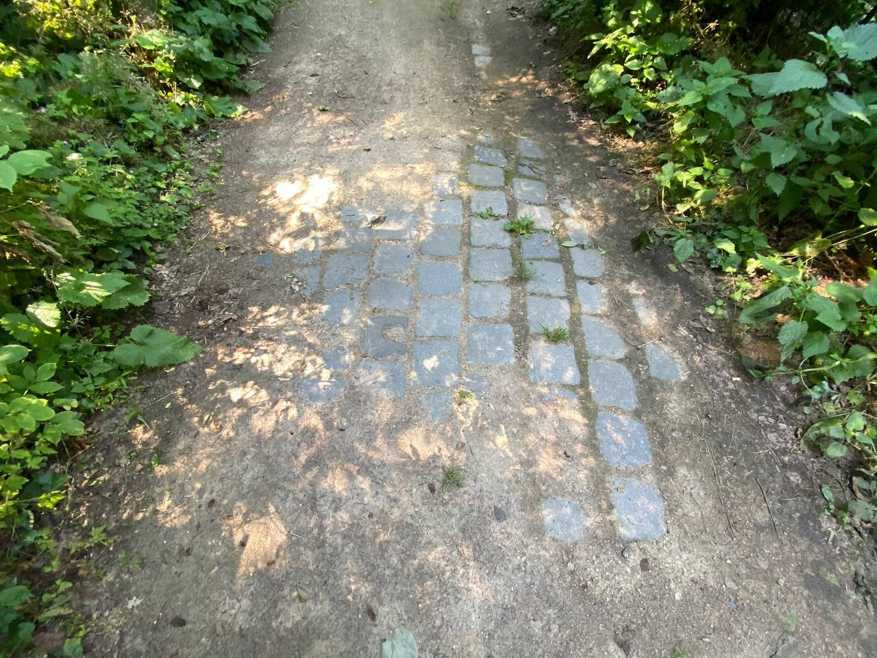 Александр Кузнецов — Эффект пульсации времени