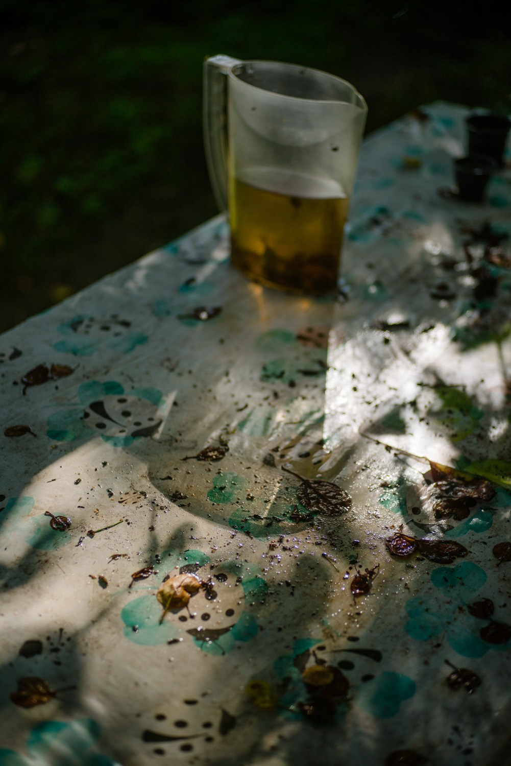 Summer Recurrences. Пётр Антонов