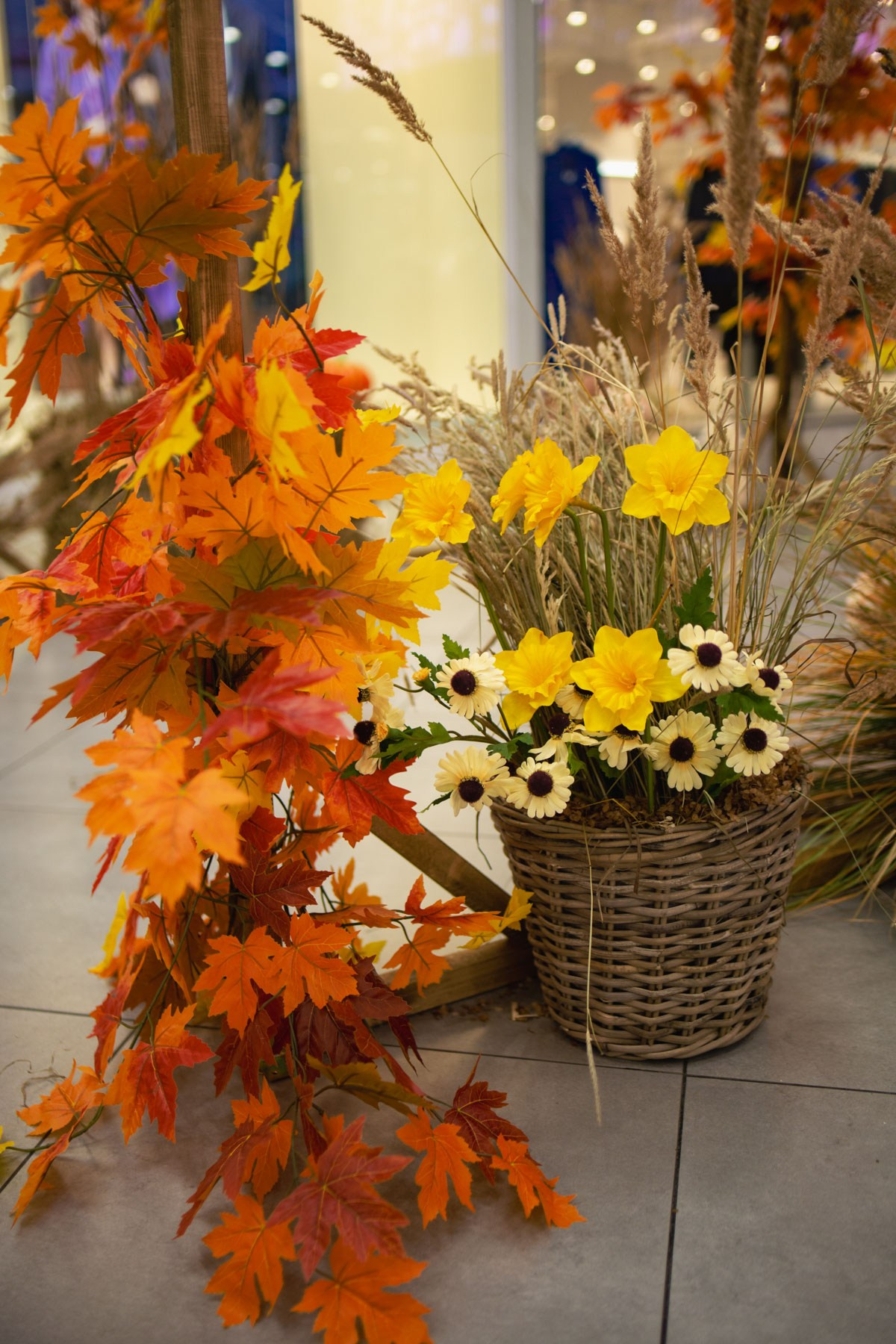 Осеннее чаепитие в ТЦ Хорошо!. Репортажный и концертный фотограф в Москве Анастасия Осень
