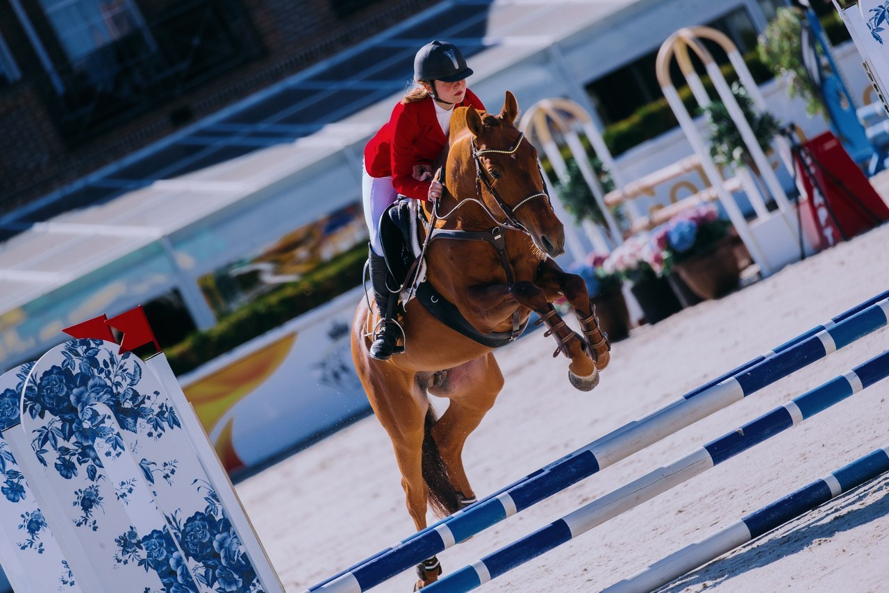 Отзывы. Фотограф-анималист Ксендзова Кристина