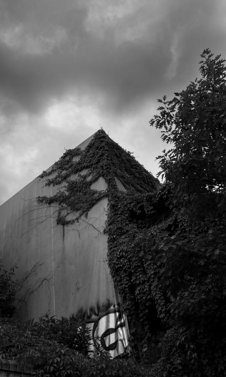 Черно-белая городская фотография (широкоугольный объектив): угловатое бетонное здание с острой крышей, напоминающее штык или пирамиду, на фоне драматичного облачного неба, справа темная листва деревьев контрастирует с архитектурой, на стене внизу видно граффити, брутальная эстетика, Вадим Топорёнок, проект Манифест теней, геометрия города, урбанистический пейзаж, архитектура бетона, городские джунгли.