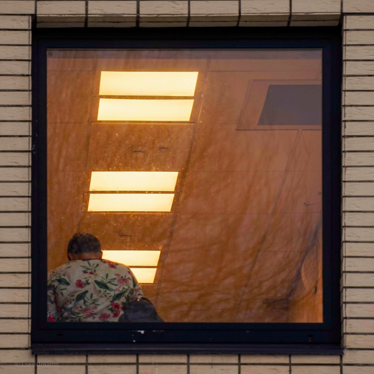 30.11.2024 // Фотоэкскурсия по Воробьевым горам с your_guide_msk. Фотовыставки serebro.gallery, в которых автором можешь стать ты! | Москва