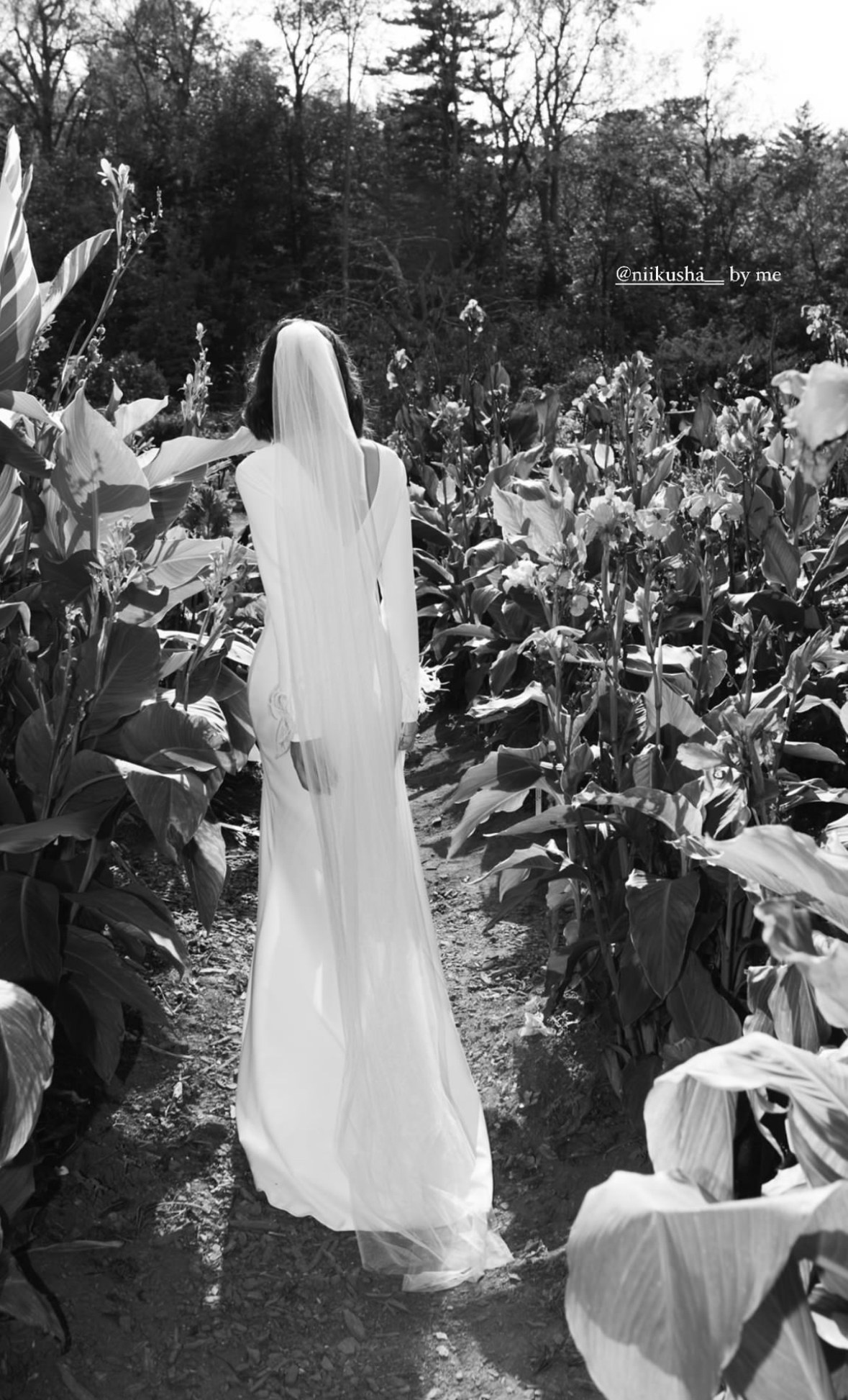 Свадебные фотосессии. Фотограф