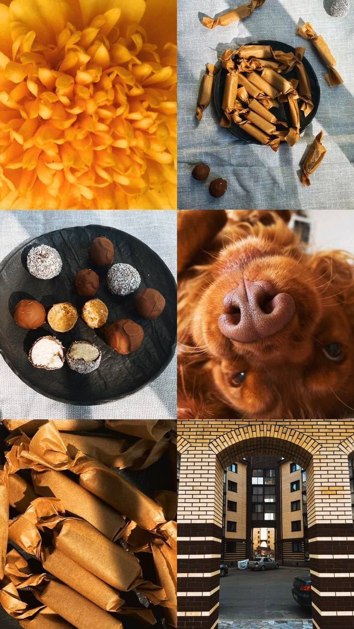 КУРС ПО ФОТО/ВИДЕО СЪЕМКЕ «СЧАСТЬЕ В ПРОСТОМ». Фотография. Визуально-чувственный мир души