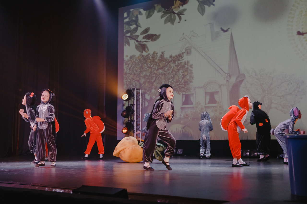 Концерт. Семейный и свадебный фотограф в Нижнем Новгороде