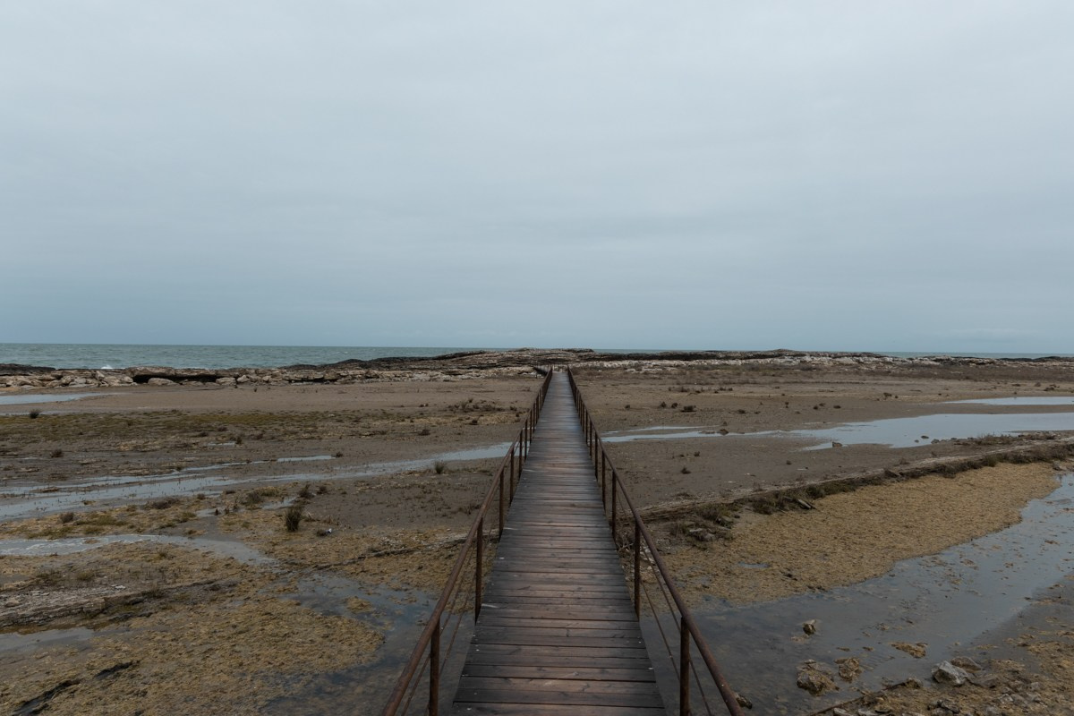 Избербаш. Photomantis