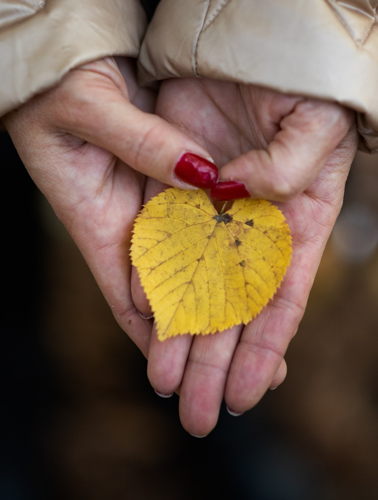 Алла 2 времени года. Фотограф в Краснодаре Анна Карелина