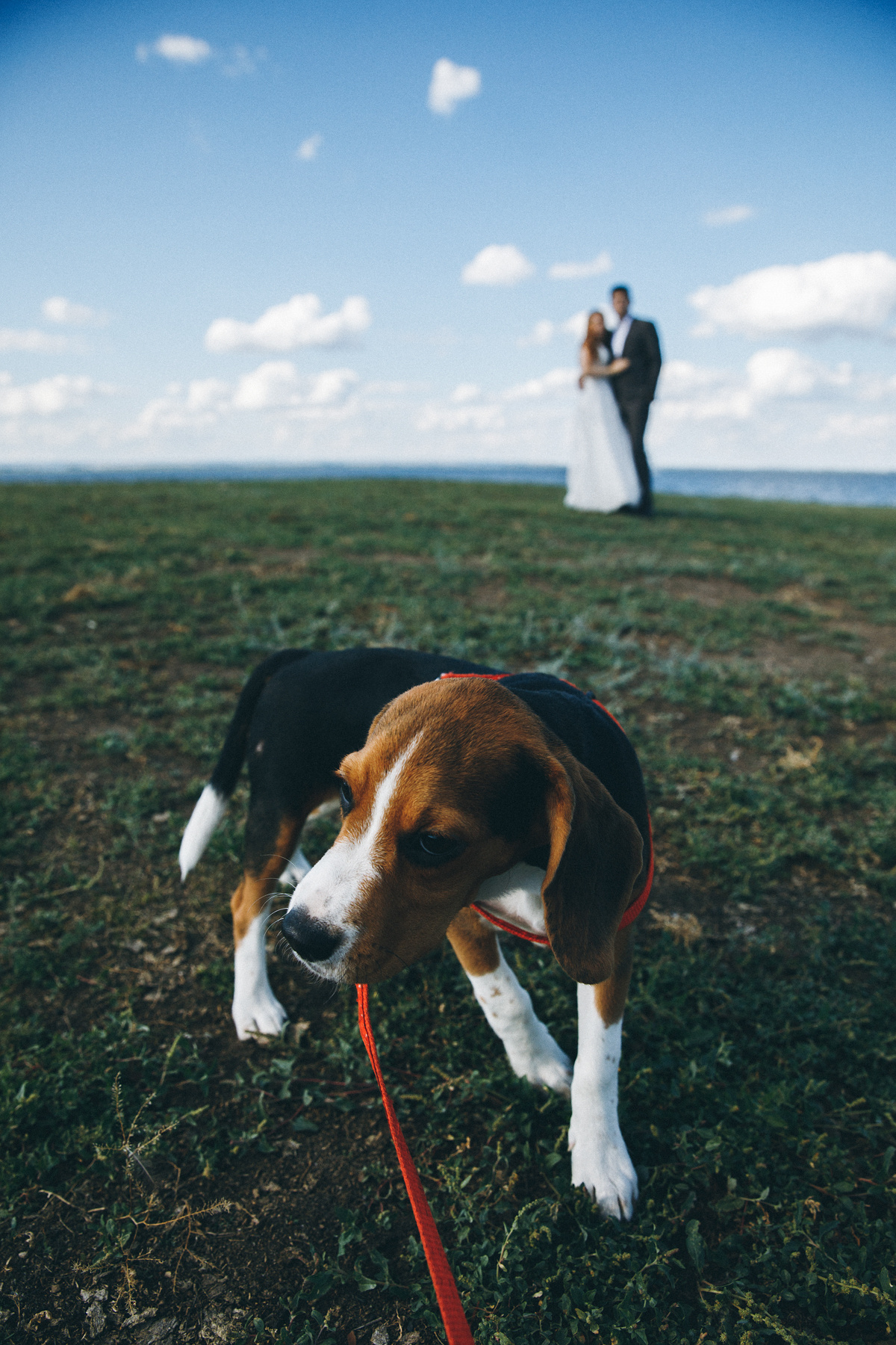 Dima&Nastya. Фотограф Максим Маркелов