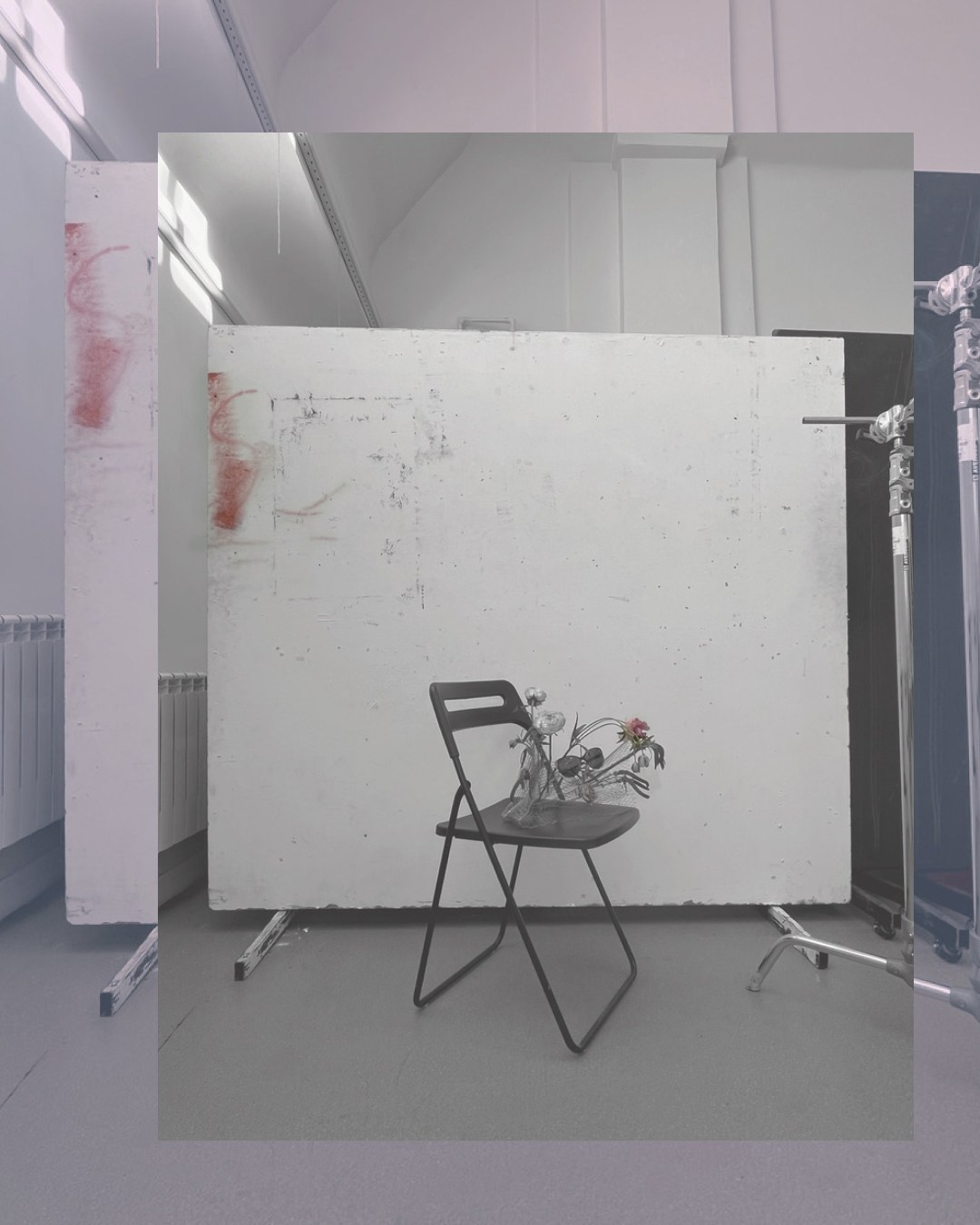 Series. Art direction & Design | Curiosa