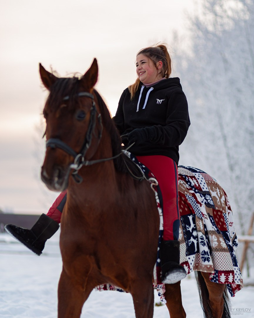 Зимние фотографии с лошадьми
