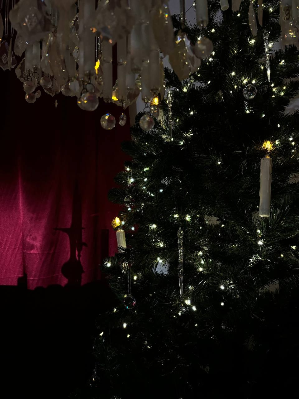 Новый год. Фотограф Мелитополь Валерия Шматко