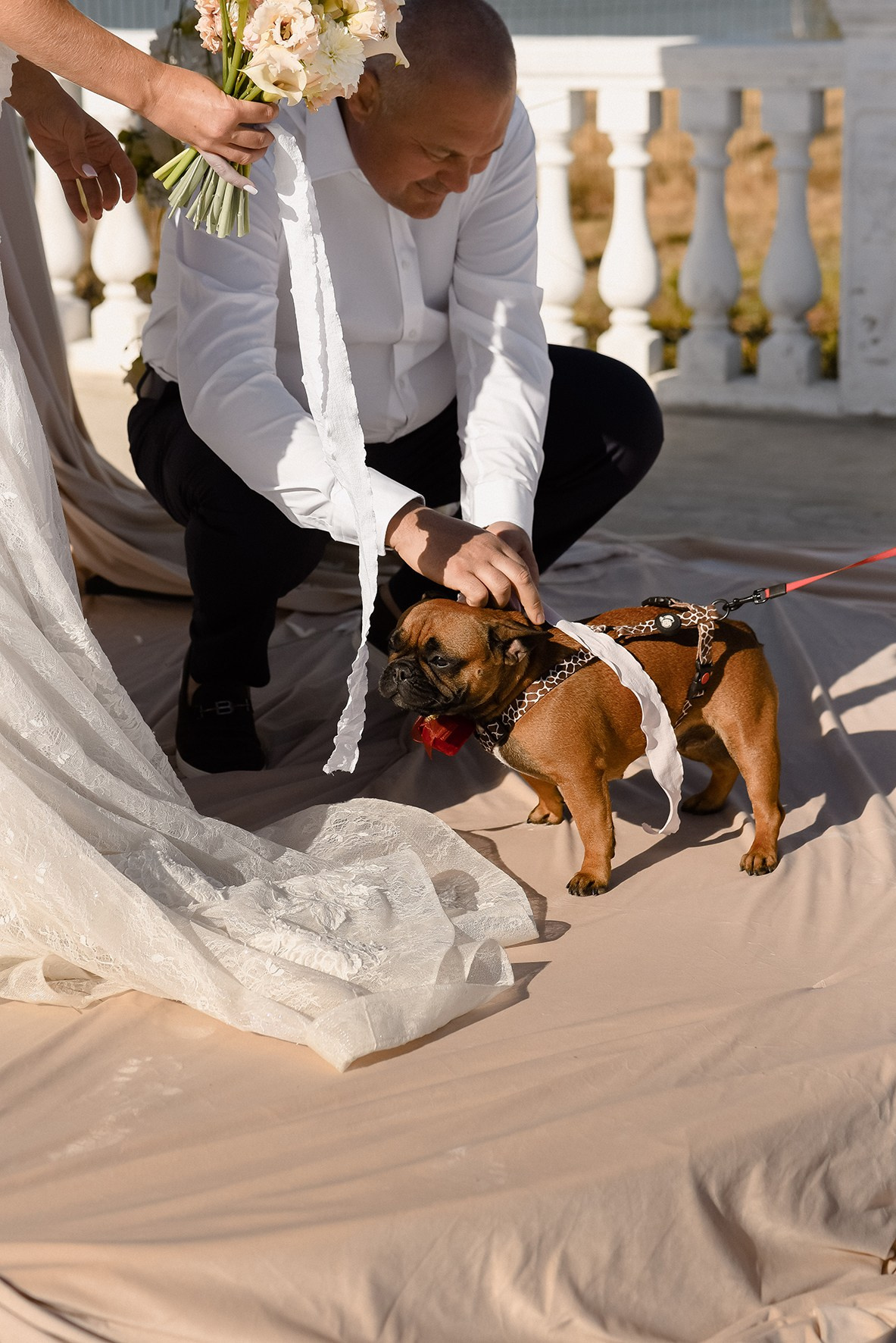 Валентина и Александр. Свадебный и семейный фотограф в Ростове-на-Дону Елена Сторожок