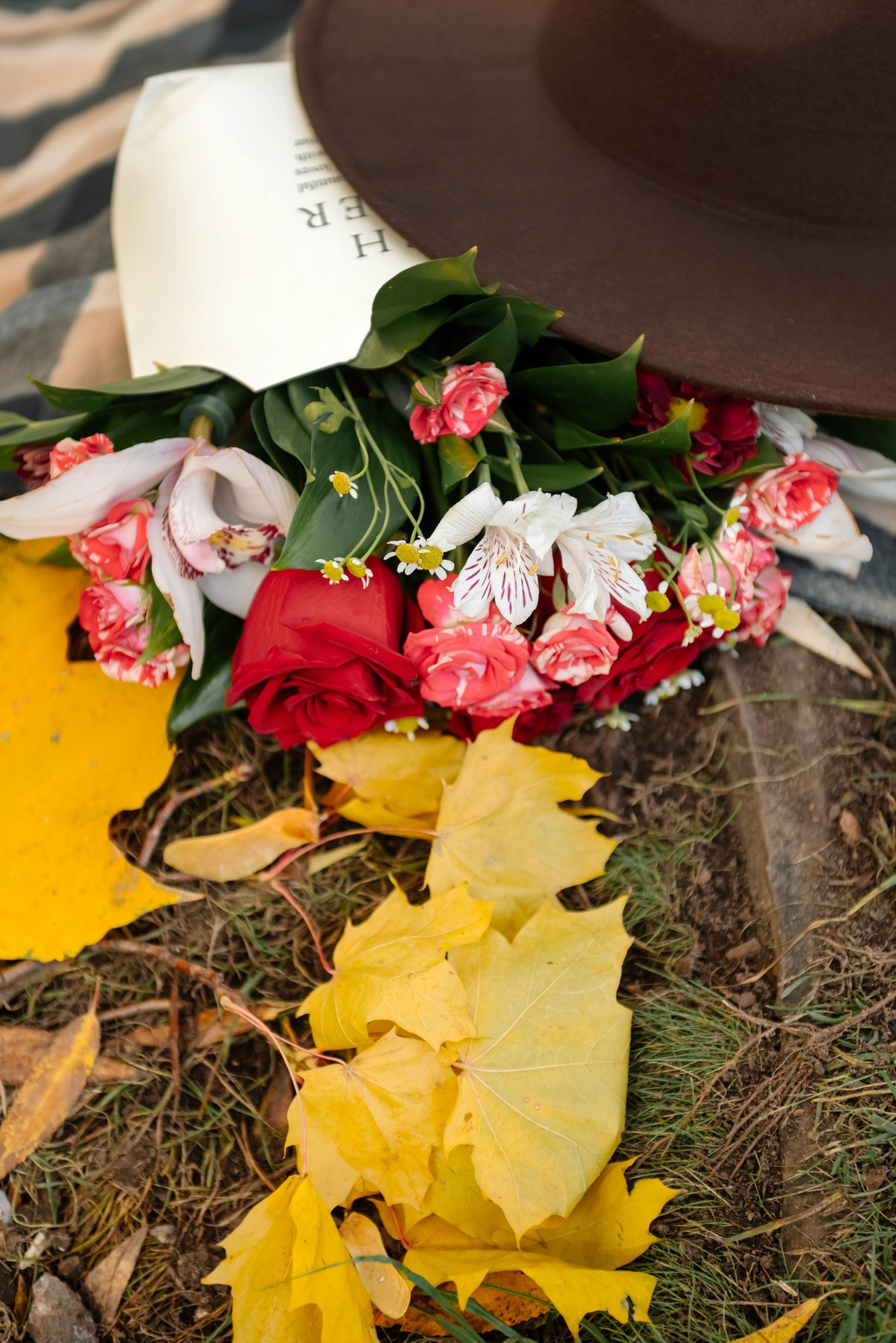Осенняя фотосессия в Питере парк Екатерингоф. Свадебный и сеейный фотограф в Санкт-Петербурге Елена Худякова