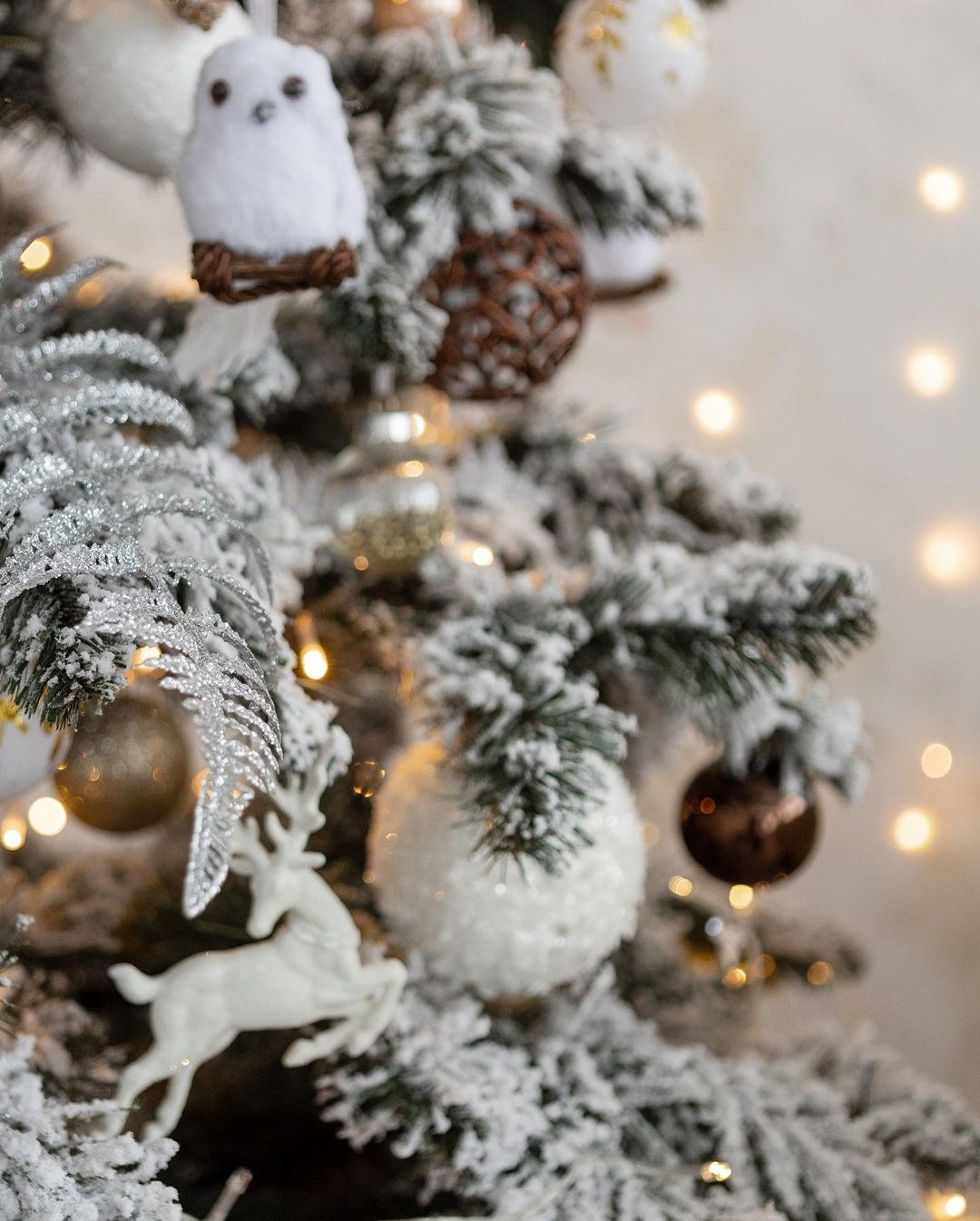 F. Фотограф г. Хабаровск. Семейные и индивидуальные съёмки