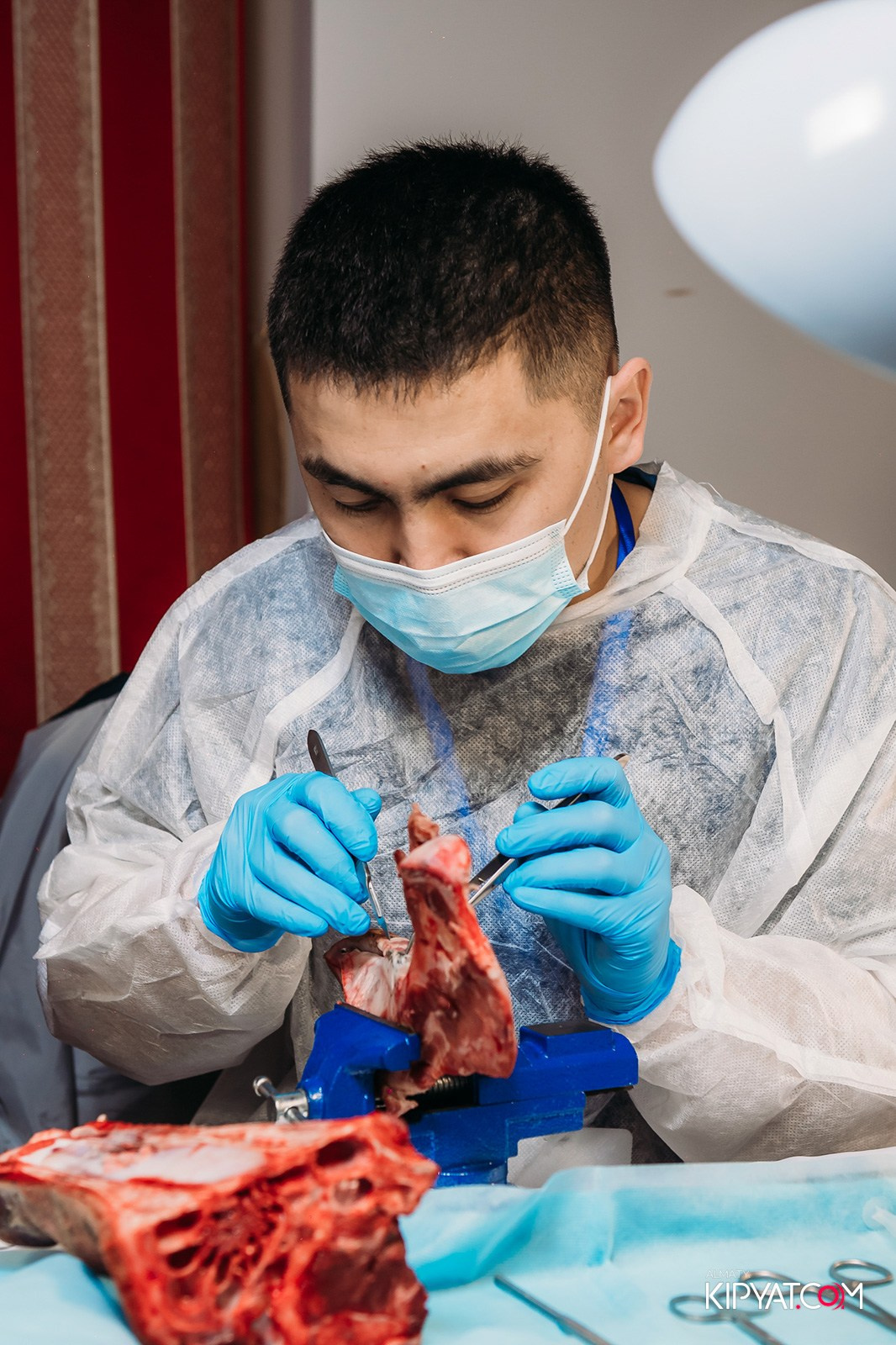 КУРС ДЛЯ СТОМАТОЛОГОВ ОСЛОЖНЕНИЯ В ХИРУРГИЧЕСКОЙ ПРАКТИКЕ КТО ВИНОВАТ И ЧТО ДЕЛАТЬ. КИПЯТКОМ АЛМАТЫ!