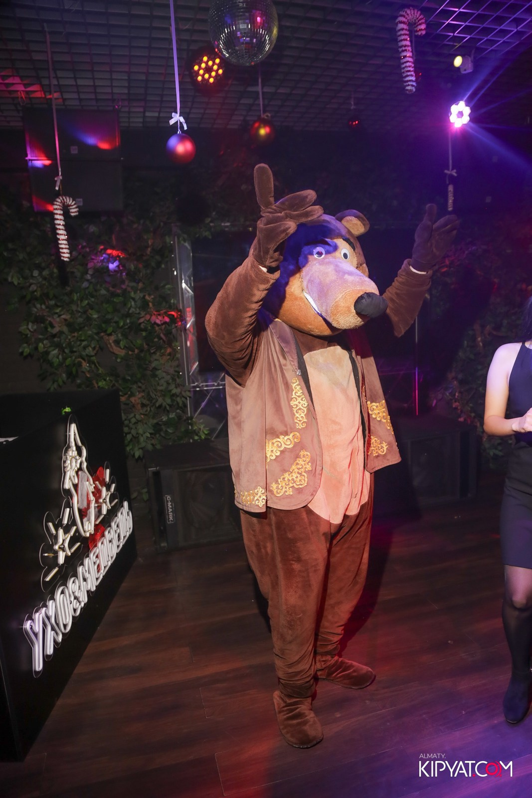 УХО И МЕДВЕДЬ НА САИНА. КИПЯТКОМ АЛМАТЫ!