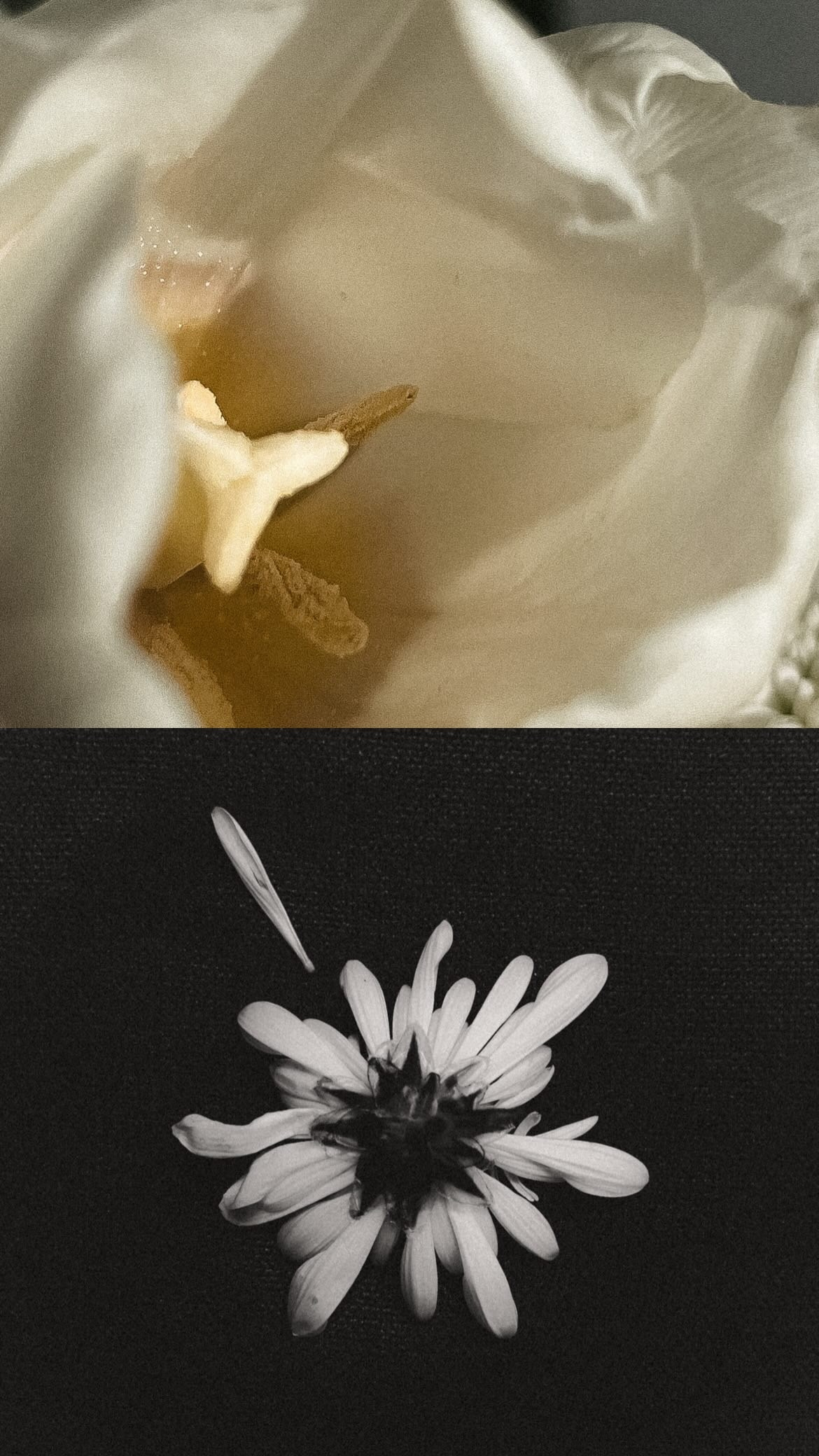 МОИМИ ГЛАЗАМИ. Nuga_visual