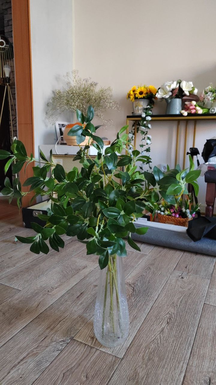 5 веточек 500 руб