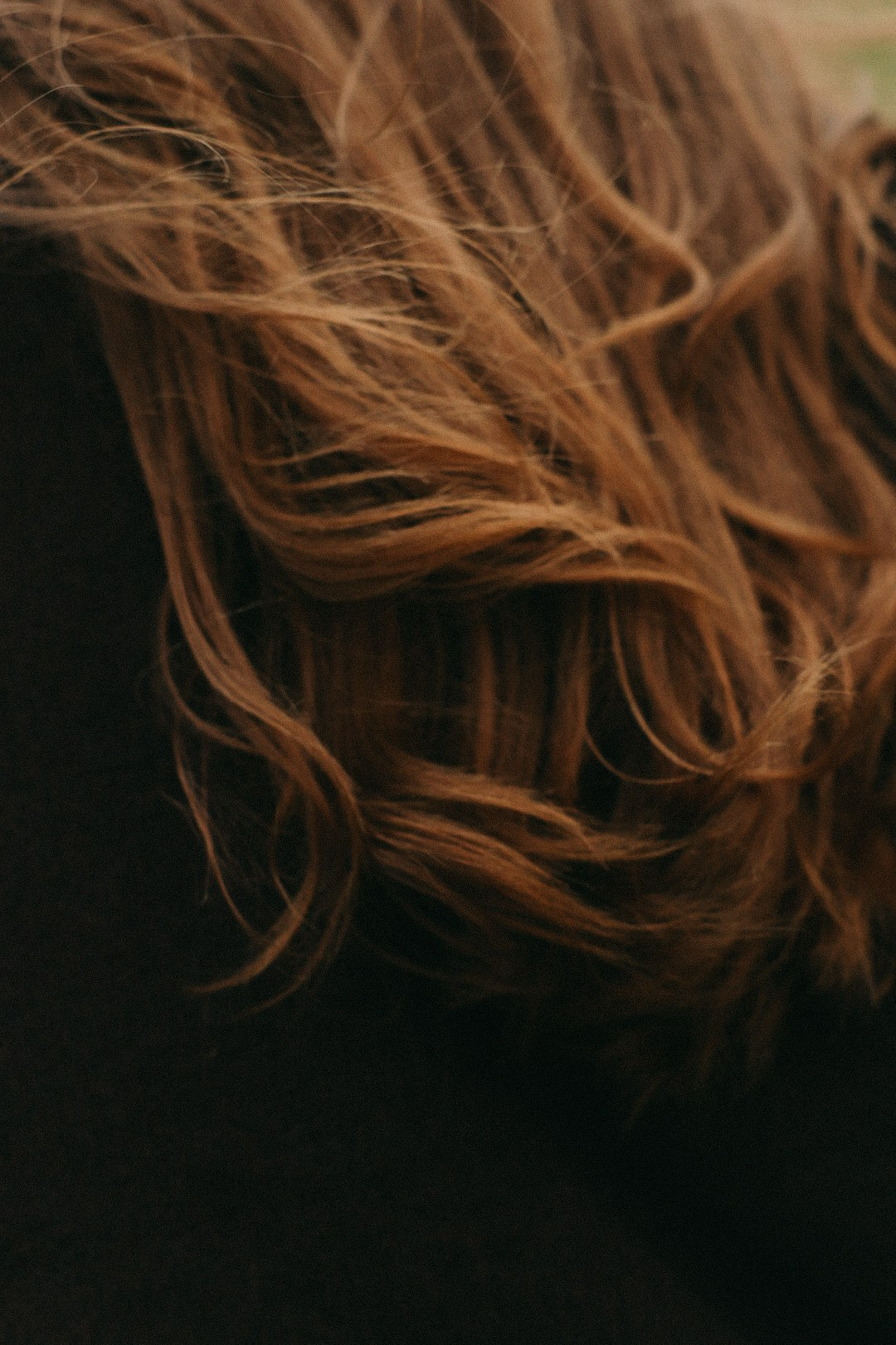 Family. Фотограф Нижний Новгород