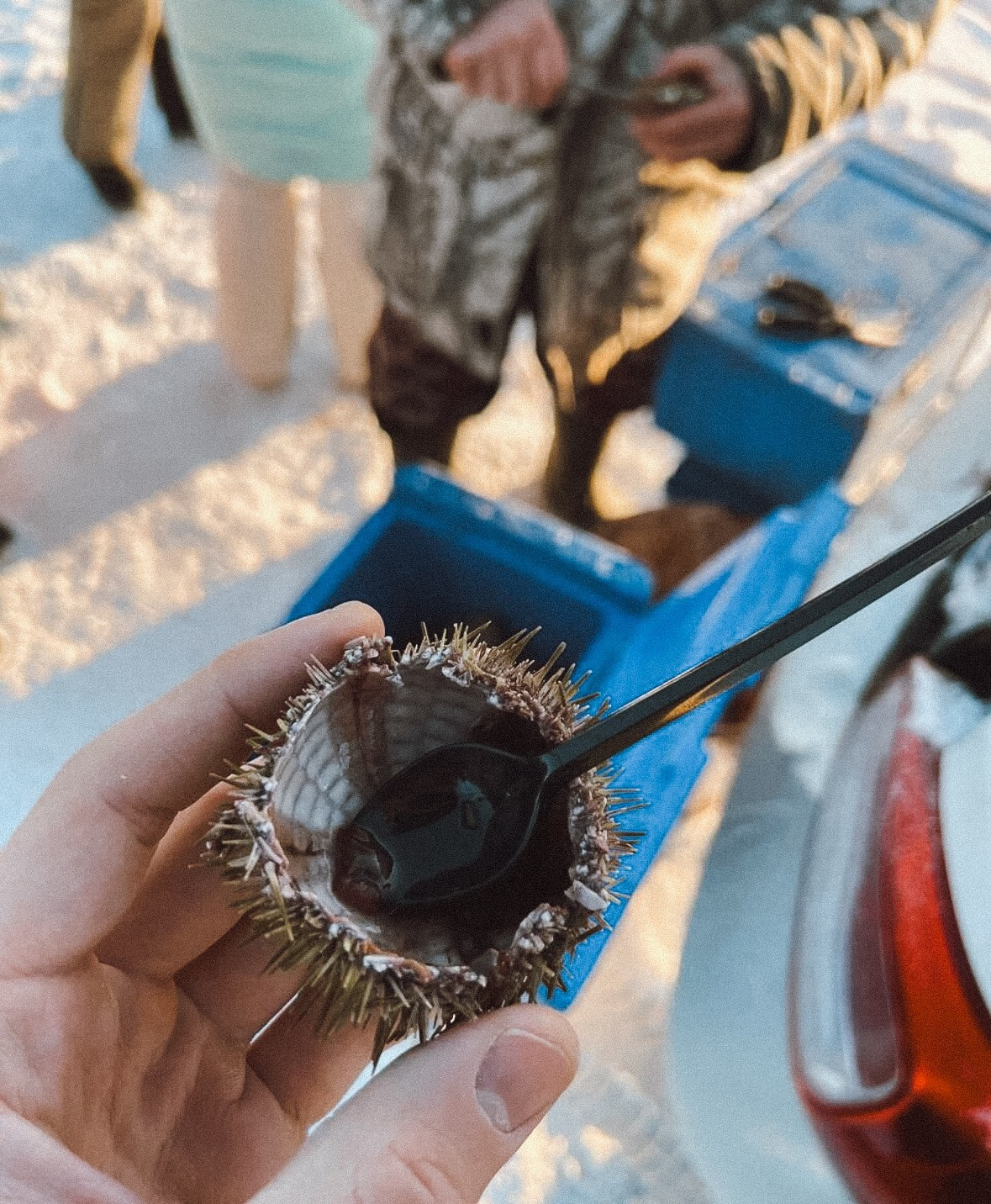 Мурманск. Организатор Авторских Туров Жукова Алёна