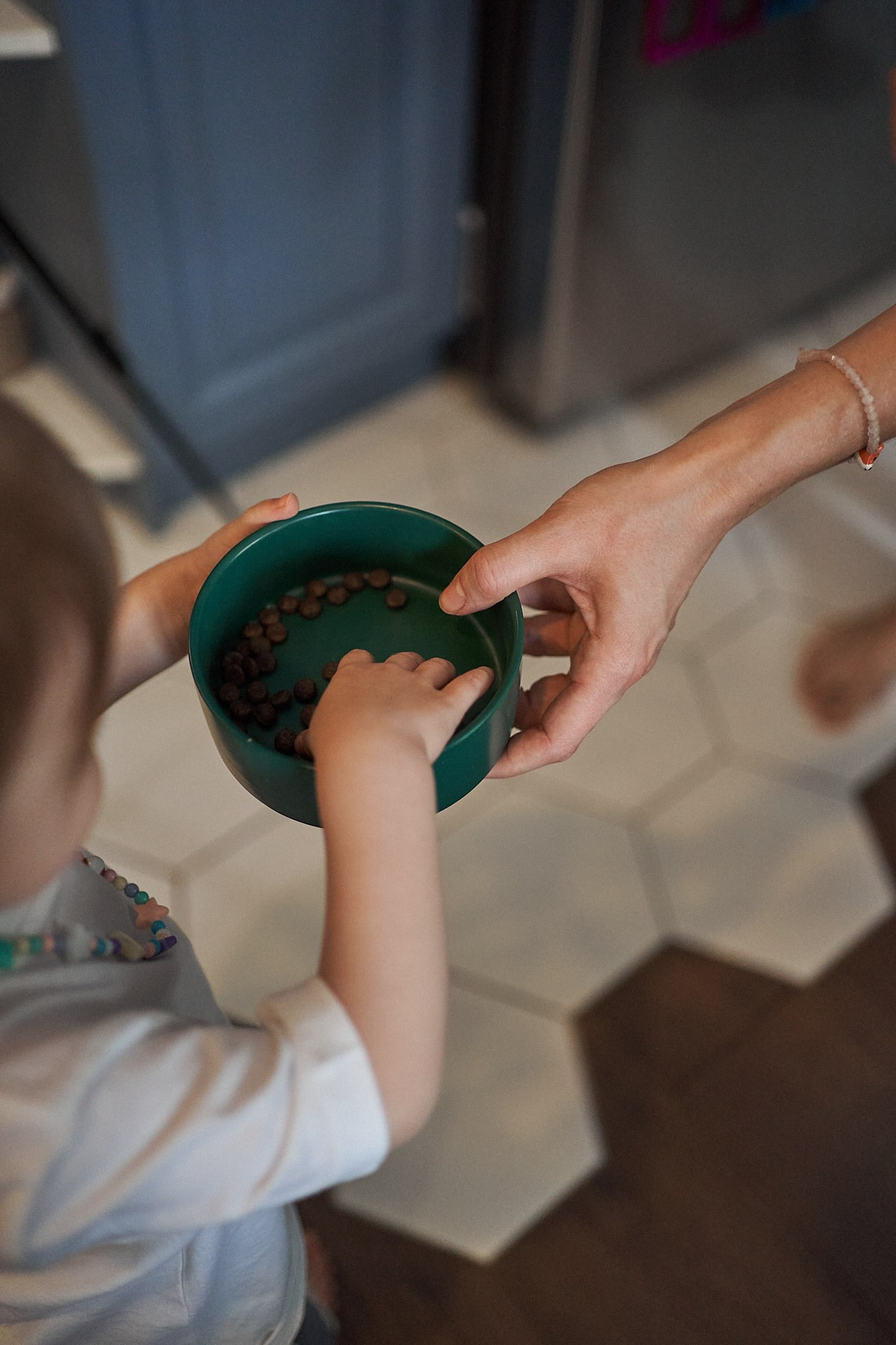 Аня, Майя и Пепси. Фотограф анималист Москва Дарья